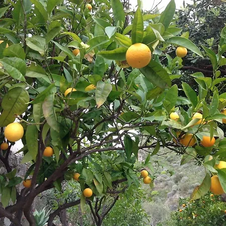Casamalva Taormine